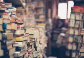 Léon le libraire